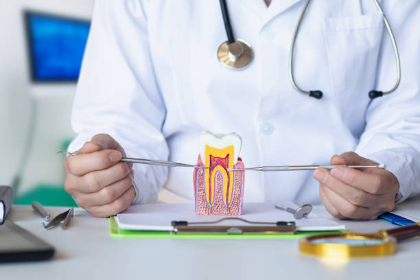 Best Emergency Dental Services for Seniors in Westway, TX